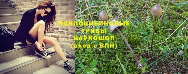 PSILOCYBIN Саяногорск