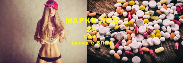 PSILOCYBIN Саяногорск