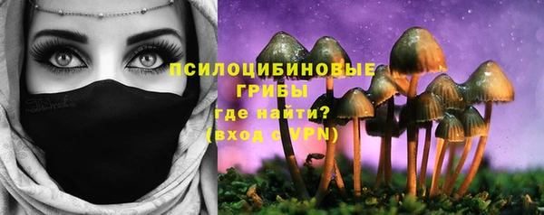 молекула духа Кирс