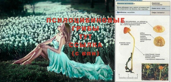 молекула духа Кирс